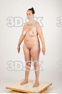 Body texture of Gevana 0041